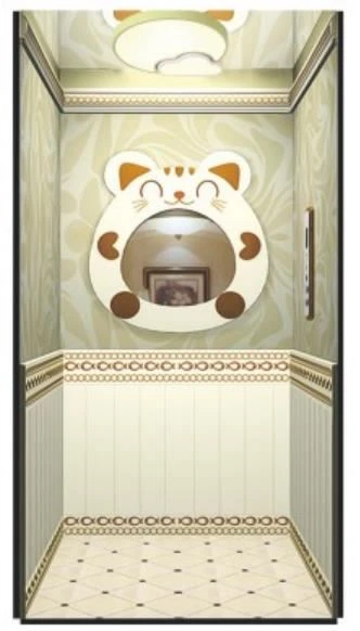 Lifft Cartref Elevator Villa ciwt