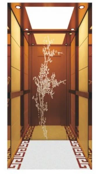 Elevator Gwesty Teithwyr Moethus
