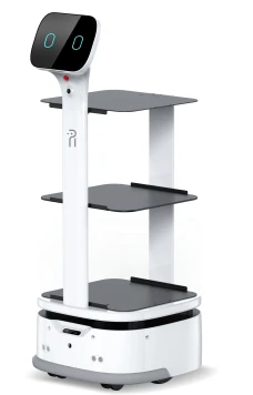 Gwasanaethu Robot